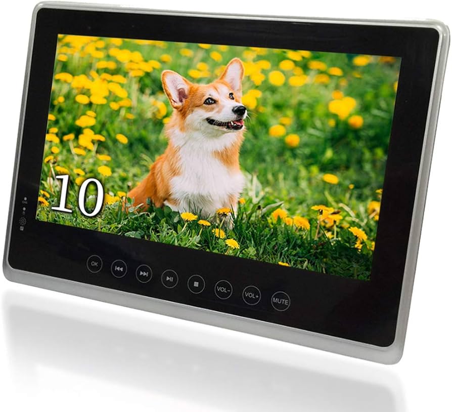 Amazon | 防水 ポータブルブルーレイプレーヤー 10インチ 車載 小型