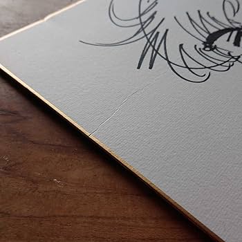 Amazon.co.jp: 漫画家サイン色紙 本宮ひろ志 直筆イラストサイン 硬派