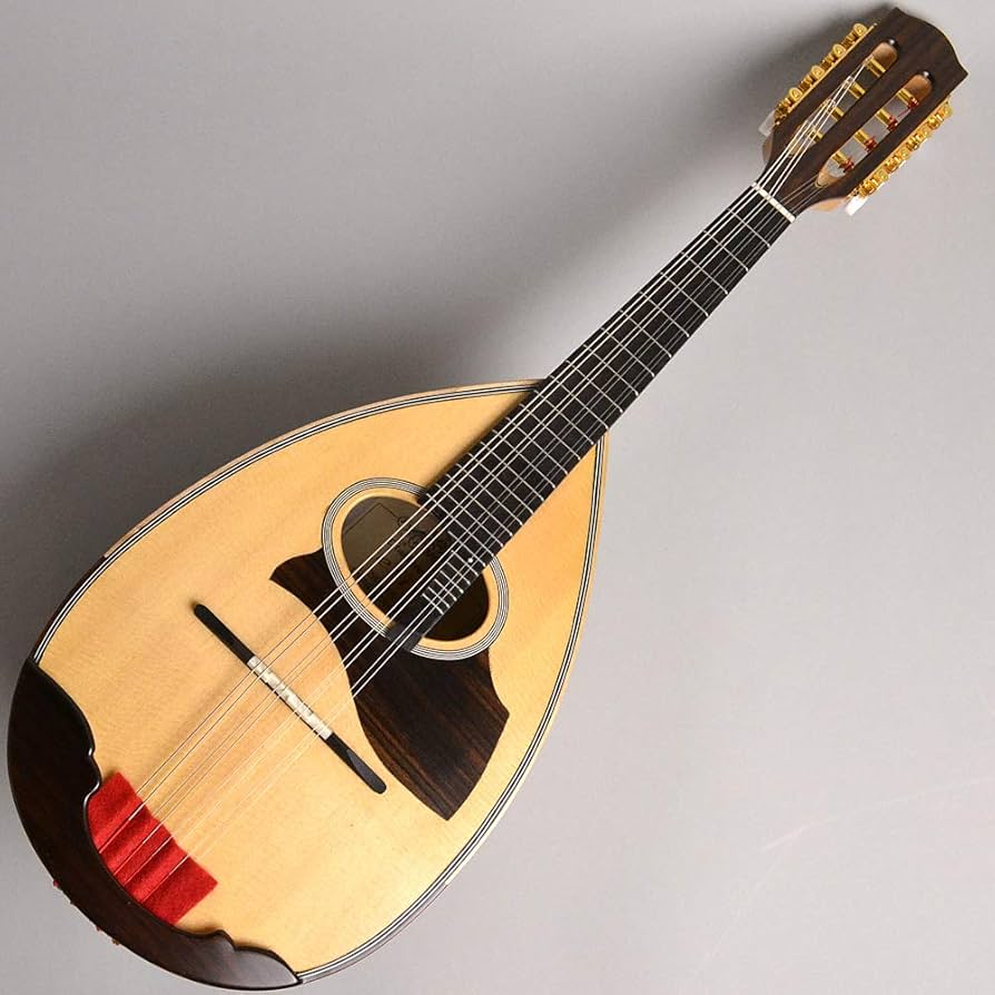 Amazon | Ena EM70 マンドリン／恵那マンドリン エナ | マンドリン