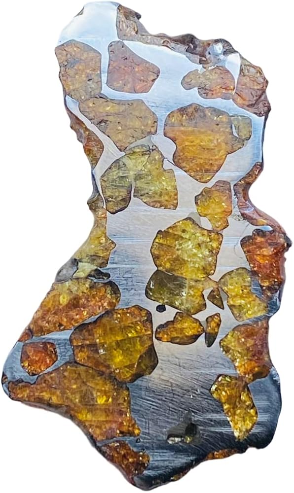 Amazon | 【鑑別書付き】 Imilac隕石 イミラック パラサイト隕石の王様