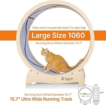 Amazon | スターキャットホイール、キャットトレッドミル、室内の猫用