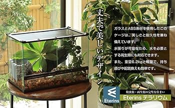 Amazon | Eterins 爬虫類 ケージ 飼育ケース レオパ ケージ テラリウム