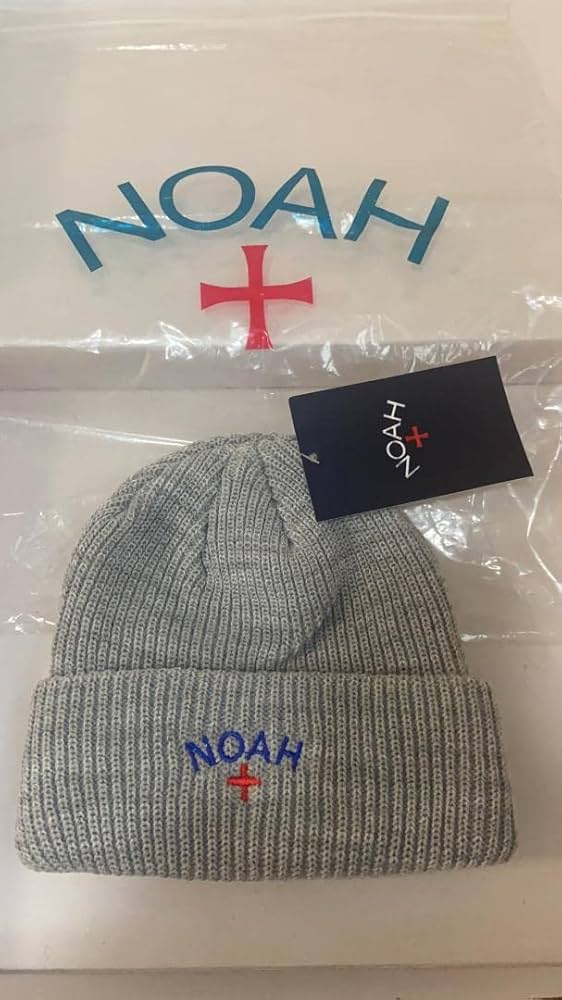 Amazon.co.jp: NOAH ノア ニット帽 ビーニー グレー : ファッション