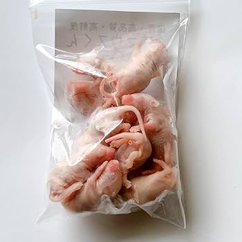 Amazon | 国産冷凍マウス (ピンクマウス M /3g 10匹入り) 爬虫類 餌