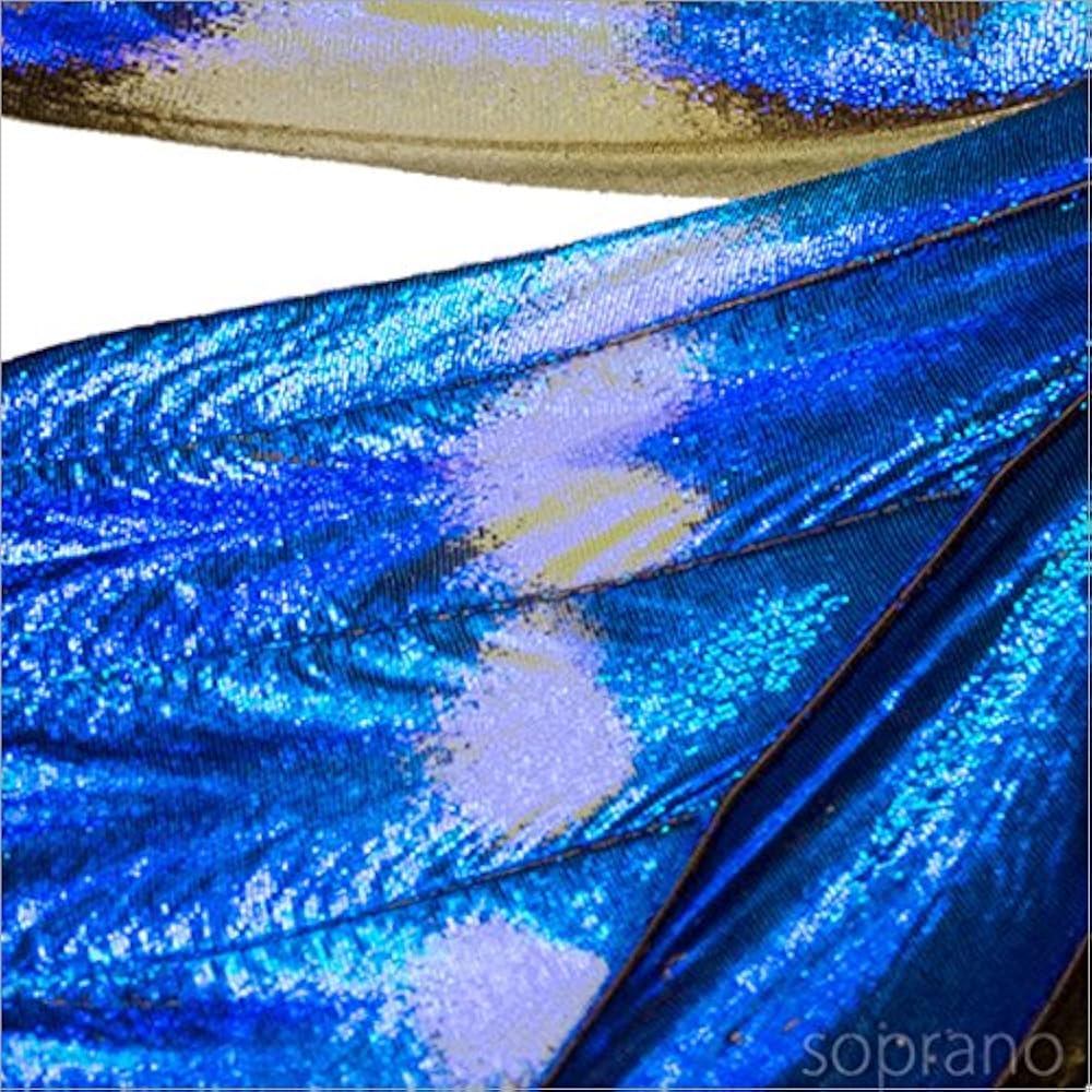 Amazon.co.jp: 蝶の標本 ヘレナモルフォ Morpho helena モルフォチョウ