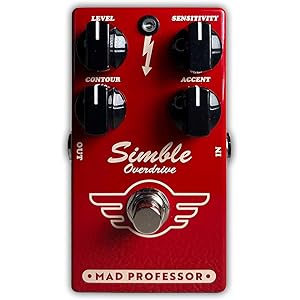 Mad Professor Big Tweedy Drive - 超絶レアなギターアンプ「Fender
