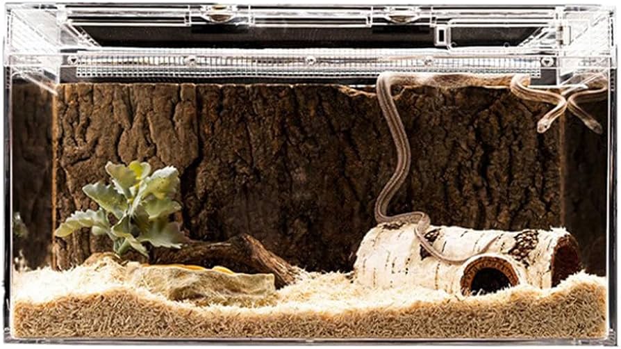 Amazon.co.jp: 爬虫類 ケージ レプタイルボックス グラステラリウム
