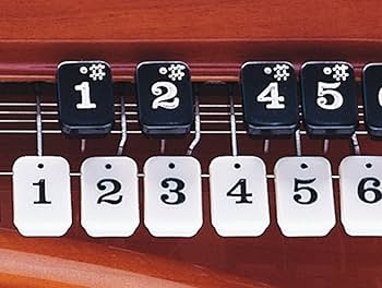 Amazon | SUZUKI スズキ 電気大正琴 こはくソプラノ | 大正琴 | 楽器