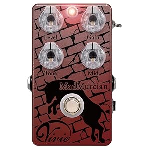 Vivie Coral Choir - バリエーション豊かなサウンドメイクが可能となっ