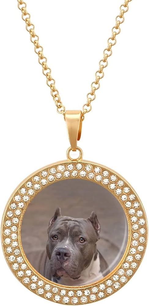 Amazon.co.jp: ピットブル犬 ネックレスかわいいペンダントネックレス