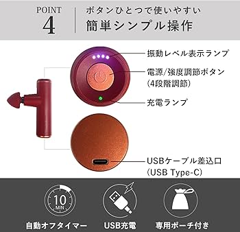 Amazon.co.jp: ATEX アテックス ルルドガンプラスアーム 【アダプター