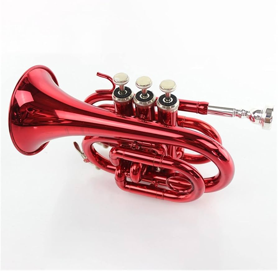 Amazon.co.jp: 初心者 金管楽器 B♭ ミニトランペット 赤 手のひら