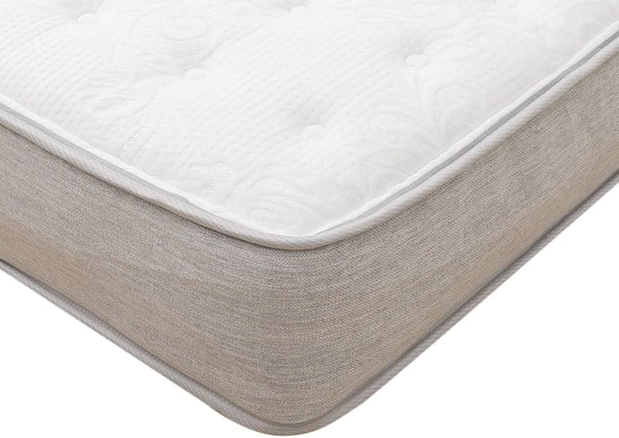 61zbZiEBONL._AC_UF894,