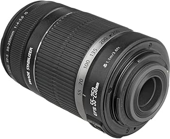 Amazon.co.jp: (白箱)EF-S55-250mm F4-5.6 IS II(#) : 家電＆カメラ