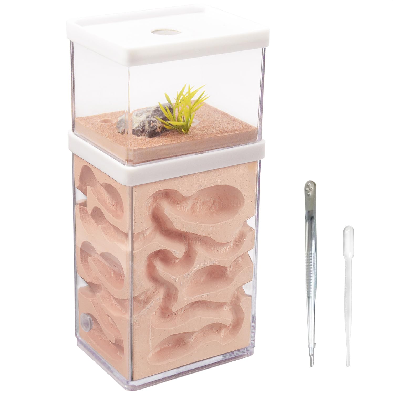 Amazon | aleawol アリの巣観察キット アリ飼育箱 蟻の巣観察キット 蟻
