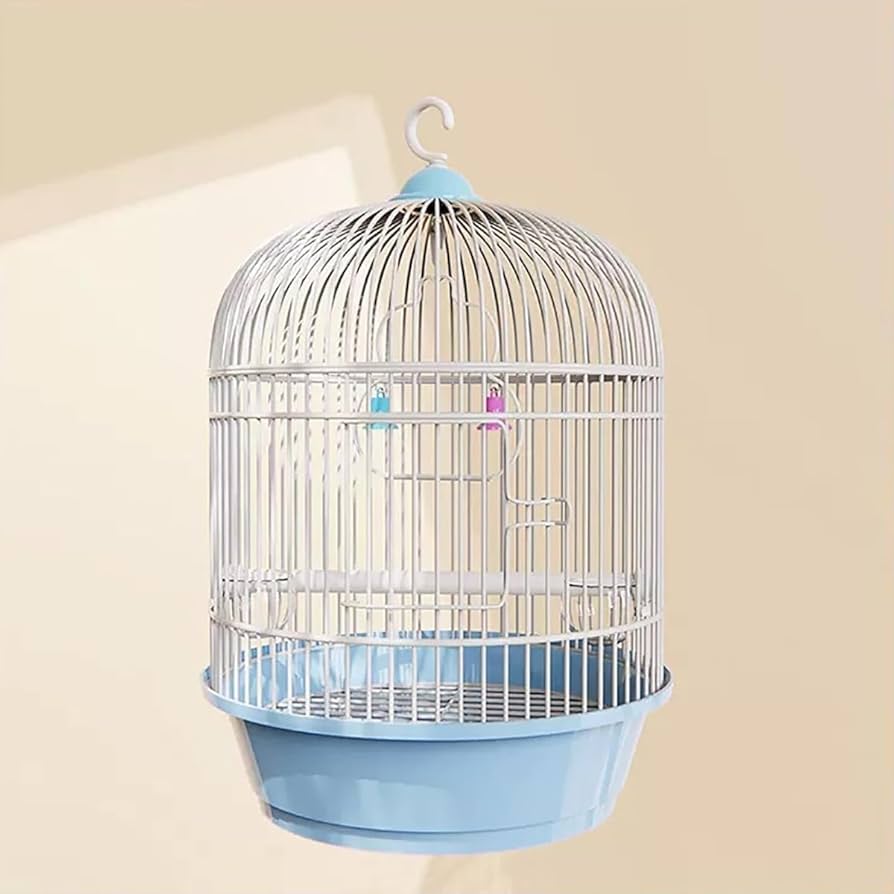 Amazon | Drvruro インテリア 鳥籠 持ち運び 鳥かご おしゃれ 鳥