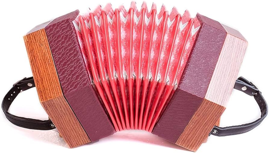 Amazon.co.jp: 30ボタンコンサーティーナ、アマチュア初心者向けの教育