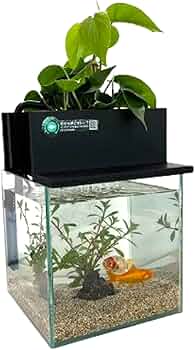 61C0NcnasUL._AC_UF350,