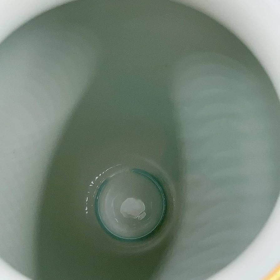 Amazon.co.jp: 有田焼 深川製磁 雲金光明富士 花瓶 宮内庁御用達