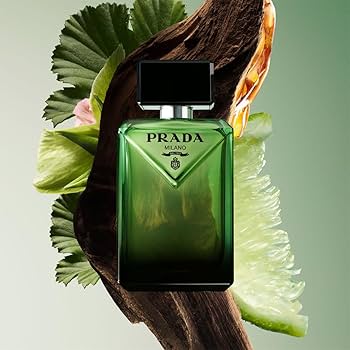 Amazon.com : Prada Paradigme Eau De Parfum Refillable Spray for