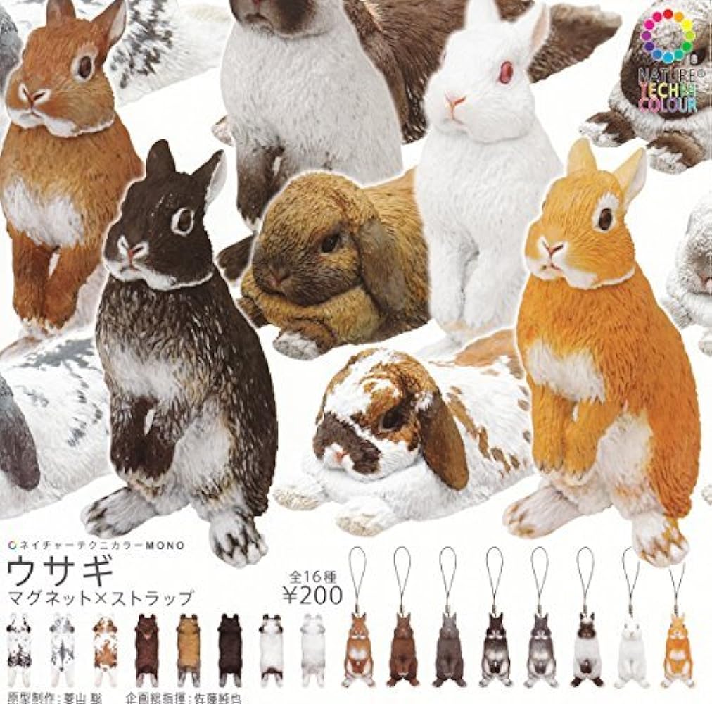 Amazon.co.jp: ネイチャーテクニカラーMONO ウサギマグネット