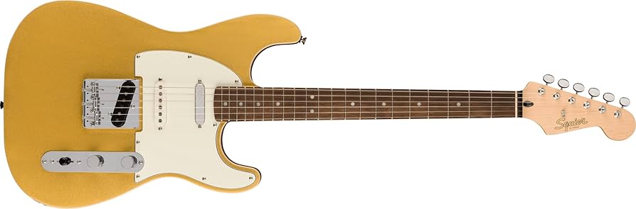 Amazon.com: Fender Paranormal Custom Nashville Stratocaster