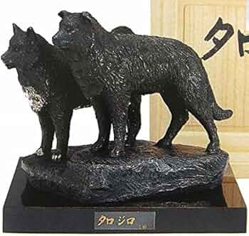 61Ds0pHkgOL._AC_UF350,