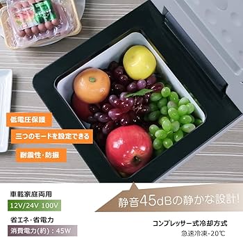 Amazon.co.jp: LVYUAN(リョクエン) 車載冷蔵庫 9Lポータブル 小型 -20