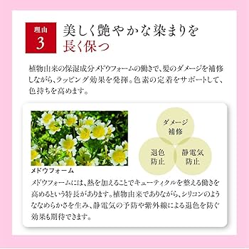 Amazon | 山田養蜂場 RJヘアカラートリートメント ダークブラウン 210g