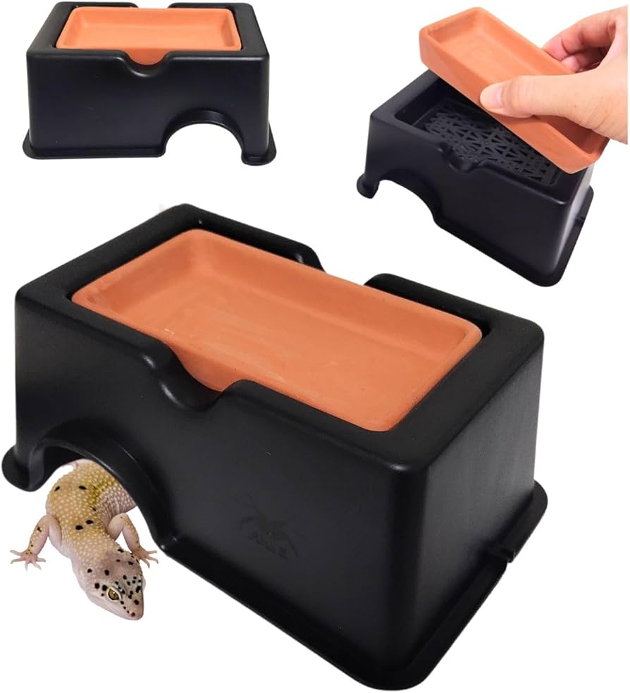 爬虫類 ウェットシェルター 29 爬虫類 ウェットシェルター 29