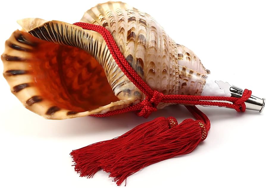 Amazon.co.jp: 伊勢 - 宮忠 - 法螺貝 ほら貝 楽器 笛 歌口付き 真言宗