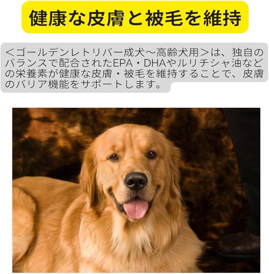 Amazon.co.jp: ロイヤルカナン ゴールデンレトリバー 成犬・高年齢用