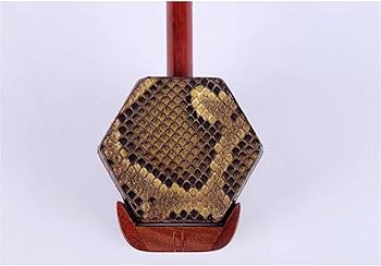 Amazon | 中国演奏二胡レッドウッド二胡中国 2 弦バイオリン楽器ケース