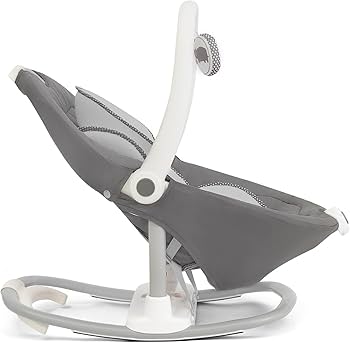Amazon.com : Joie Cinnamon 2-in-1 Glider and Rocker – Multi-Motion