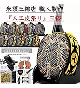 Amazon.co.jp: 三線 沖縄三線 初心者向けスタンダードセット 本蛇皮
