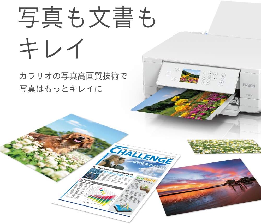 Amazon.co.jp: エプソン プリンター インクジェット複合機 カラリオ EP