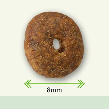 Amazon.co.jp: Planet Pet プラペ ! CP ラム & リンゴ ドッグフード無