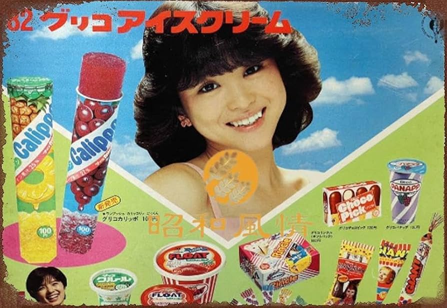 Amazon.co.jp: 【昭和の風情】昭和レトロ 松田聖子 ブリキ看板