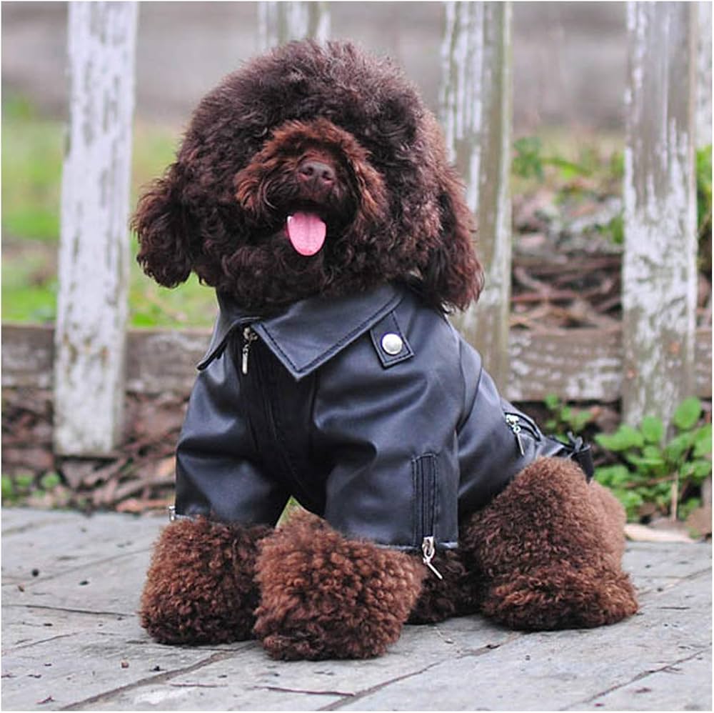 Cuteboom Dog Leather Jacket Pet Cool Motorcycle Clothing Dog