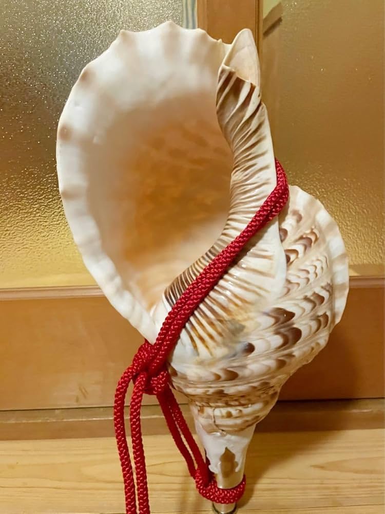 幸*ギ様 大型肉厚39㎝修験道法螺貝 山伏 密教 魔除け 熊よけ