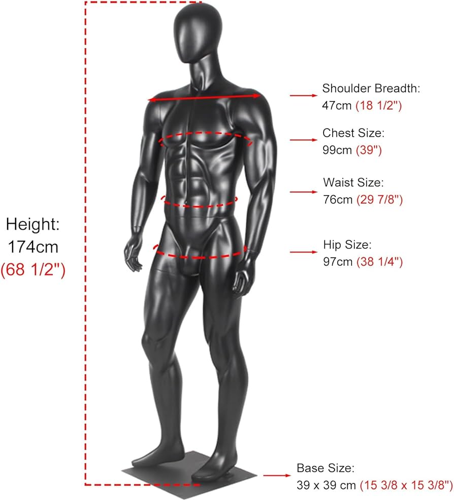 Amazon.co.jp: 黒マネキン トルソー 全身 男性 女性 フィットネス