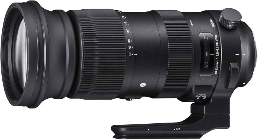 Amazon.co.jp: シグマ(Sigma) SIGMA シグマ Canon EFマウント レンズ