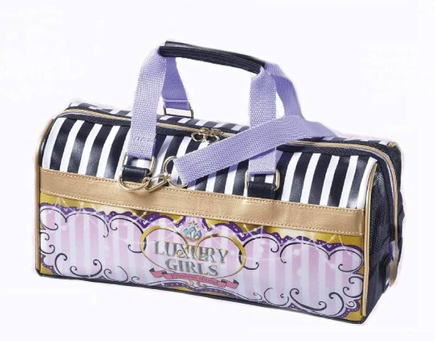 Amazon | 画材セット(絵具セット) 【プリンセス】 | 絵具 通販