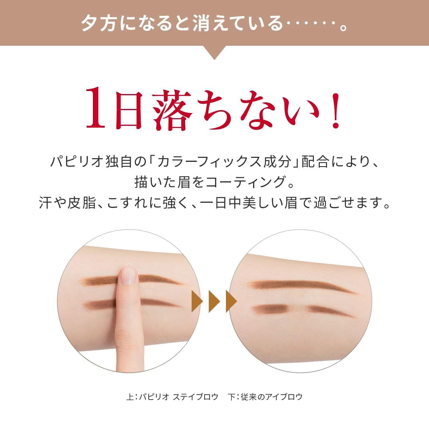 Amazon.co.jp: パピリオ公式 Papilio ステイブロウG(リフィル3本セット