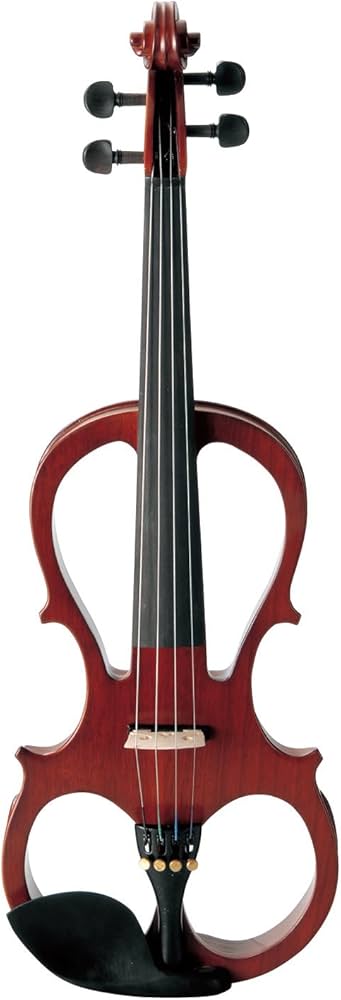Amazon | キクタニ エレクトリックバイオリン セット 4/4サイズ ESV