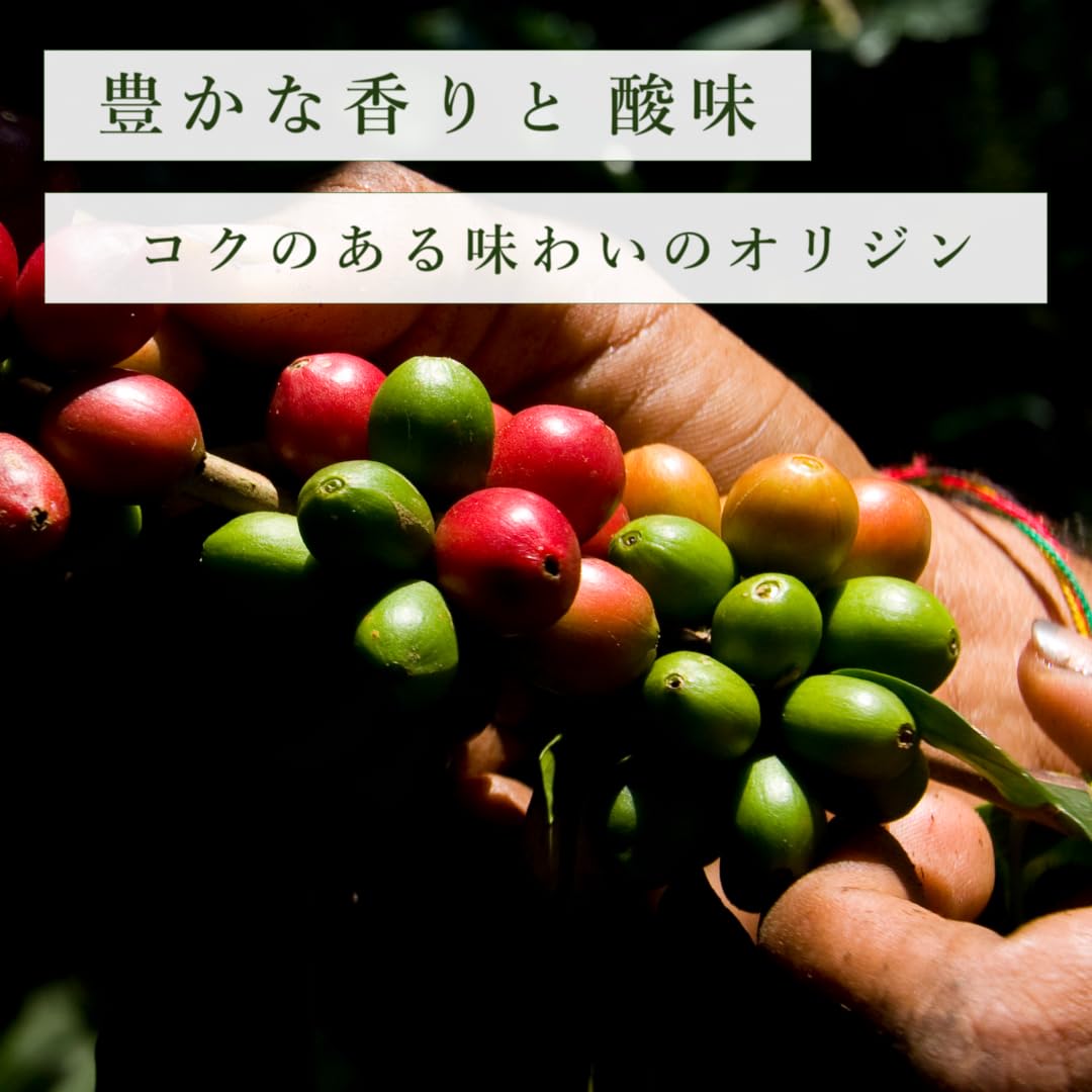 Amazon.co.jp: [三本珈琲 公式] コーヒー生豆 タンザニア AA 10kg