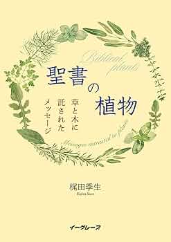 61alEXHDVwL._AC_UF350,