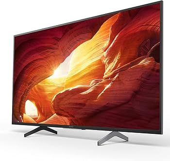 Amazon.co.jp: ソニー 49V型 4K 液晶 テレビ ブラビア KJ-49X8000H