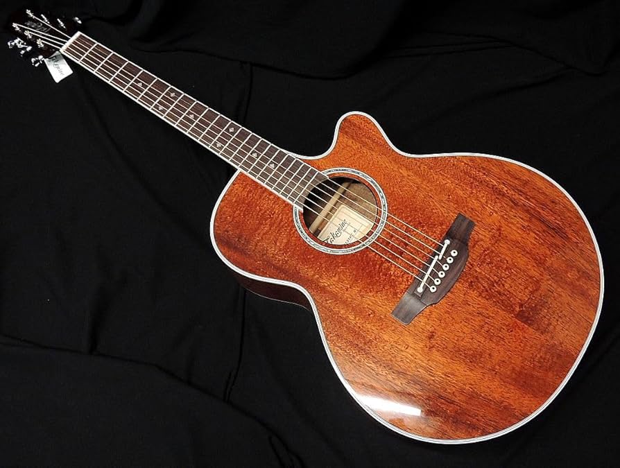 Amazon | Takamine PTU131KC N KOA タカミネ アコースティックギター