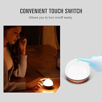 61eJdWCtPuL._AC_UF350,